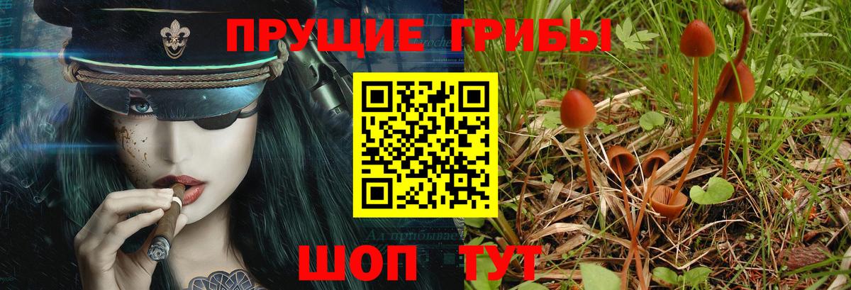 Галлюциногенные грибы прущие грибы  Вход с VPN  Тольятти 